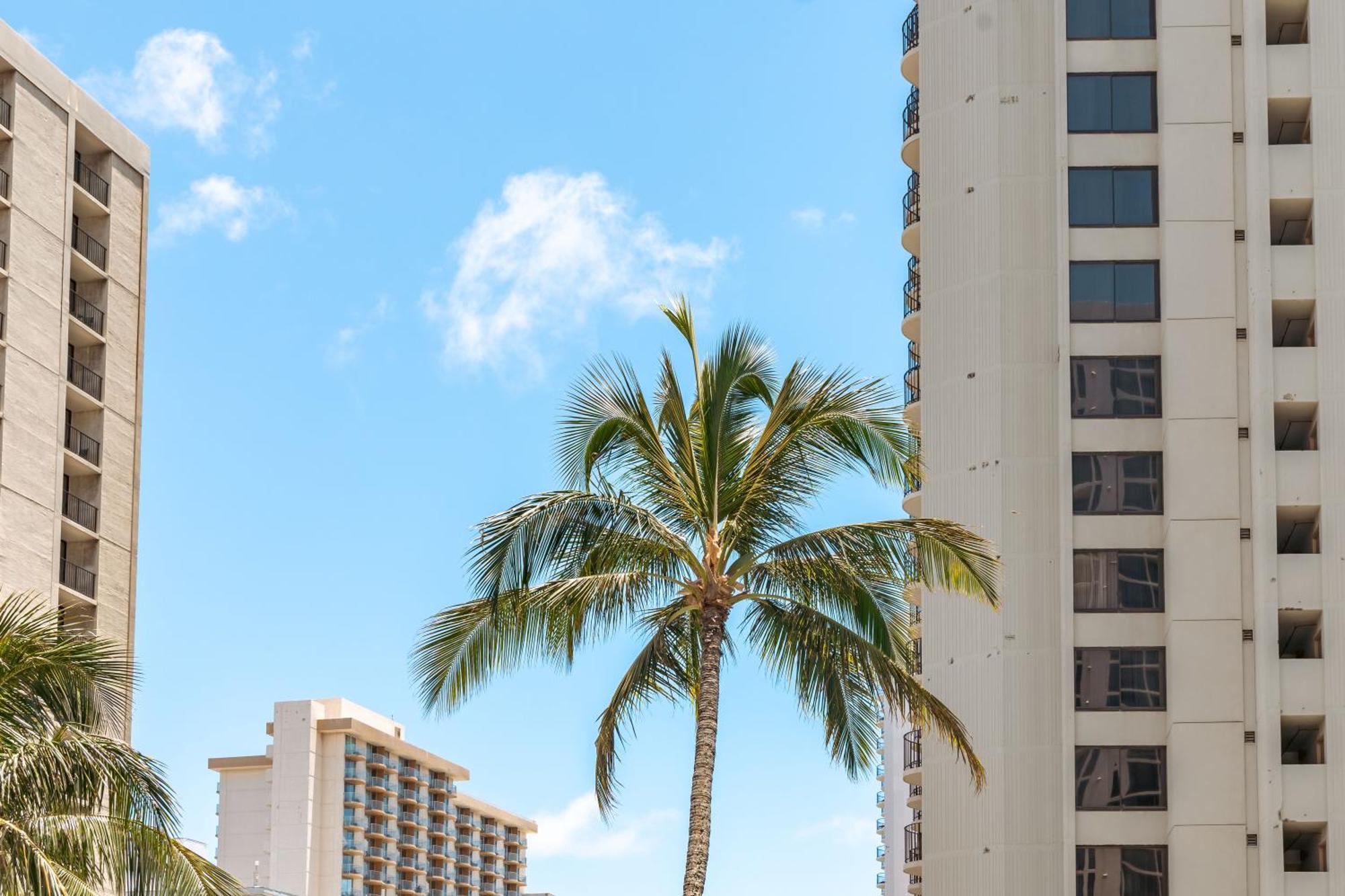 Ocean & Diamond Head Views - Near Beach - Parking! Honolulu Eksteriør billede